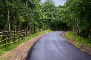 Maredumilli Ap Tourism Packages