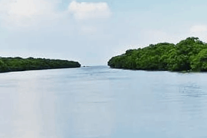 Madaforest Ap Tourism